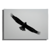Cuadro Águila en Vuelo