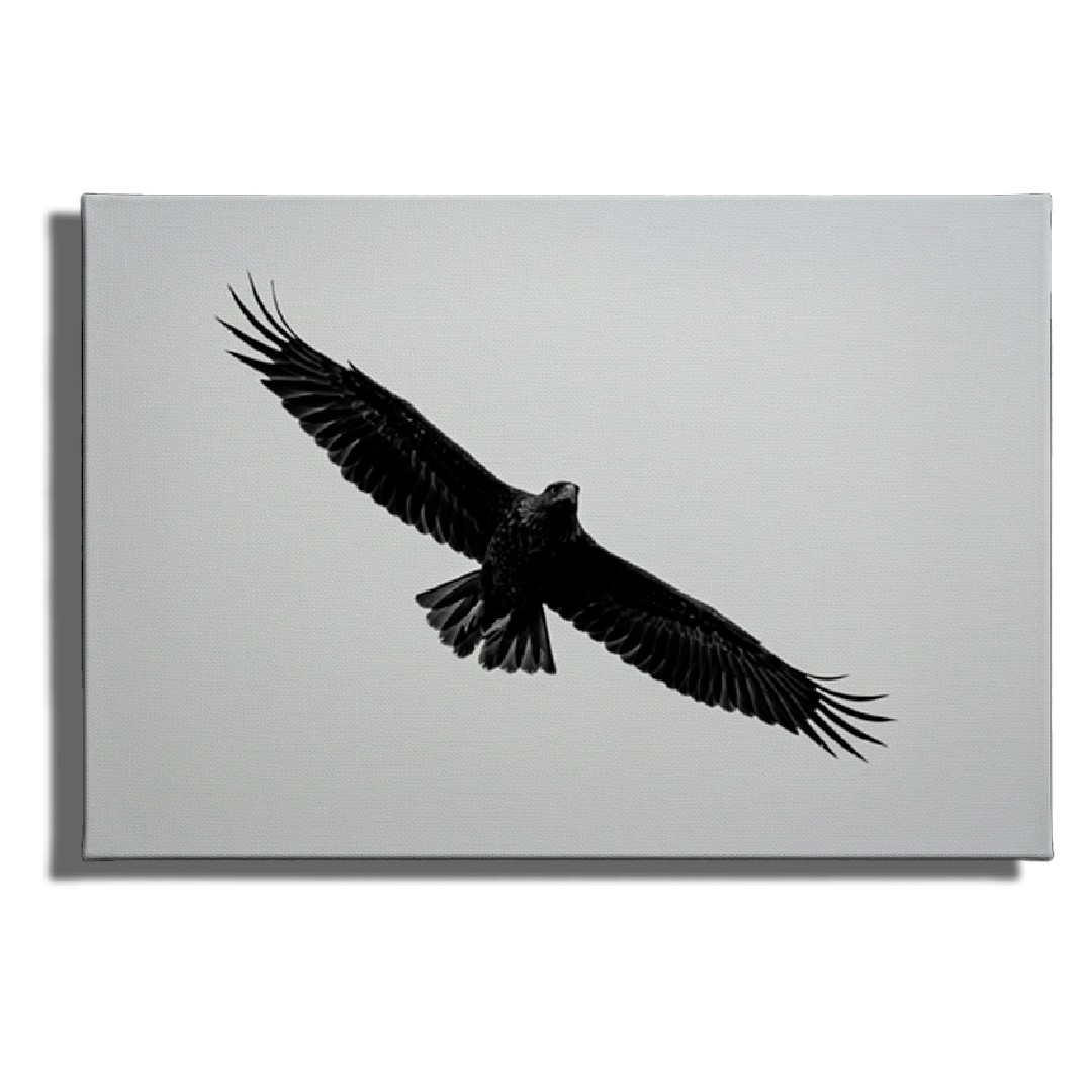 Cuadro Águila en Vuelo